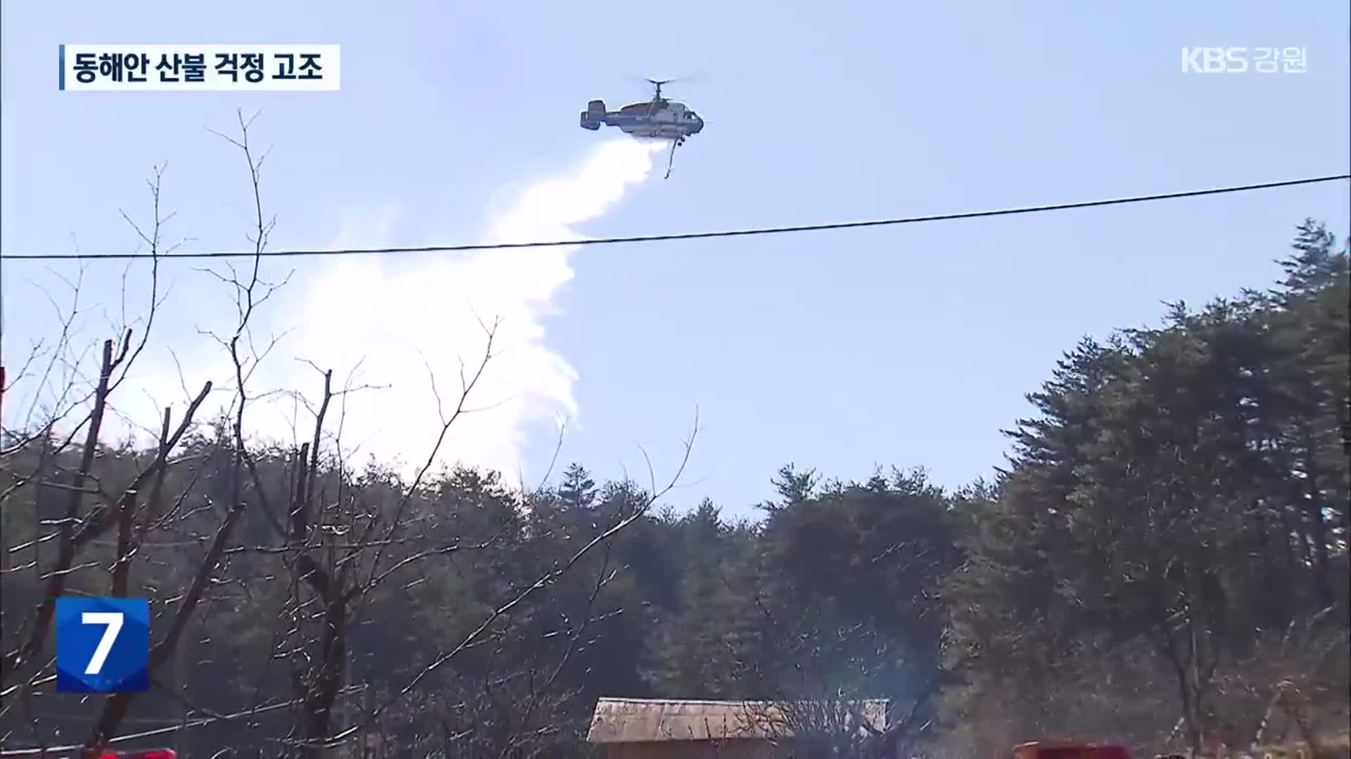 눈 안 내리는 동해안…건조한 날씨에 산불 걱정