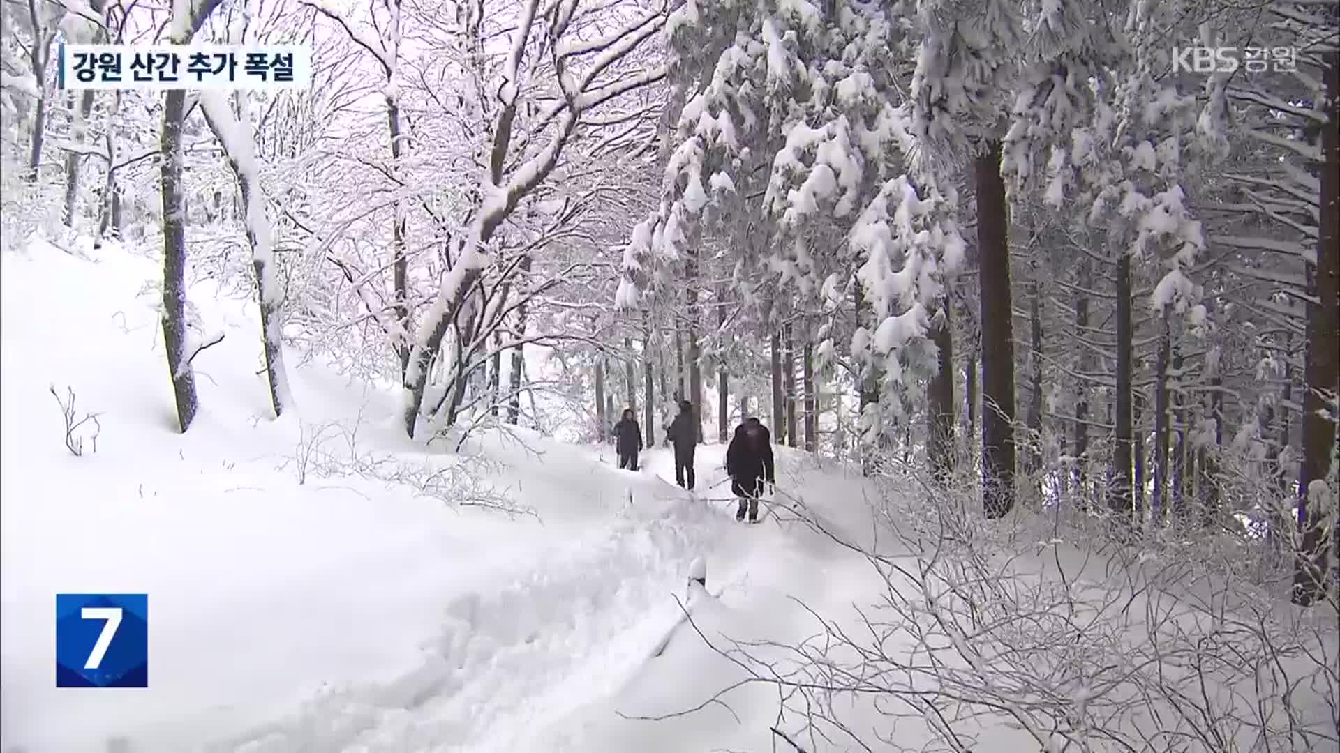 폭설 내린 백두대간 설경 장관…산불 위험 덜었다