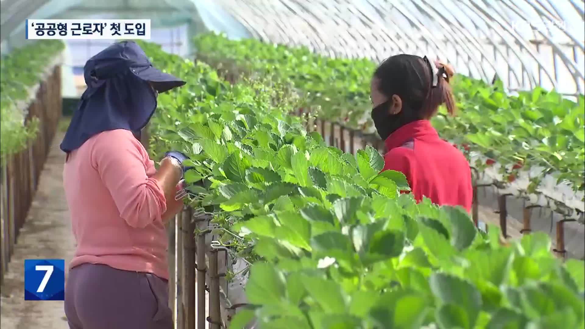 ‘공공형 근로자’ 첫 도입…“숙식 제공 부담 덜어”