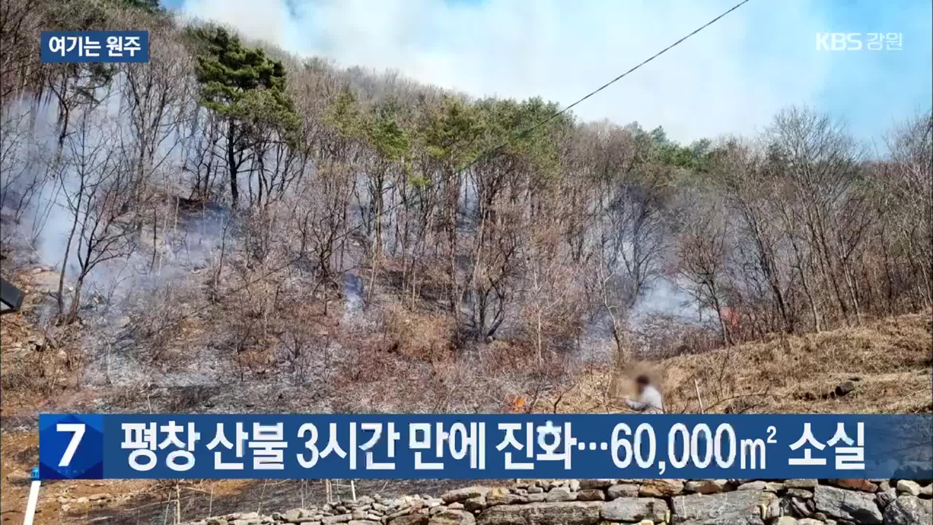 [여기는 원주] 평창 산불 3시간 만에 진화…60,000㎡ 소실 외