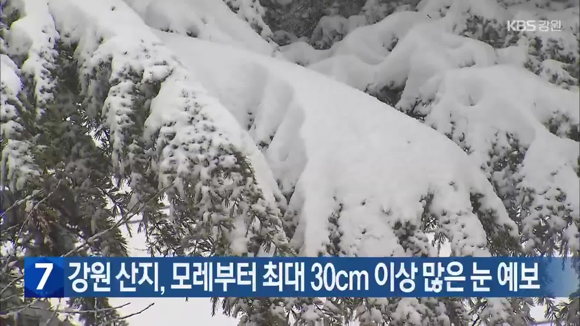 강원 산지, 모레부터 최대 30cm 이상 많은 눈 예보