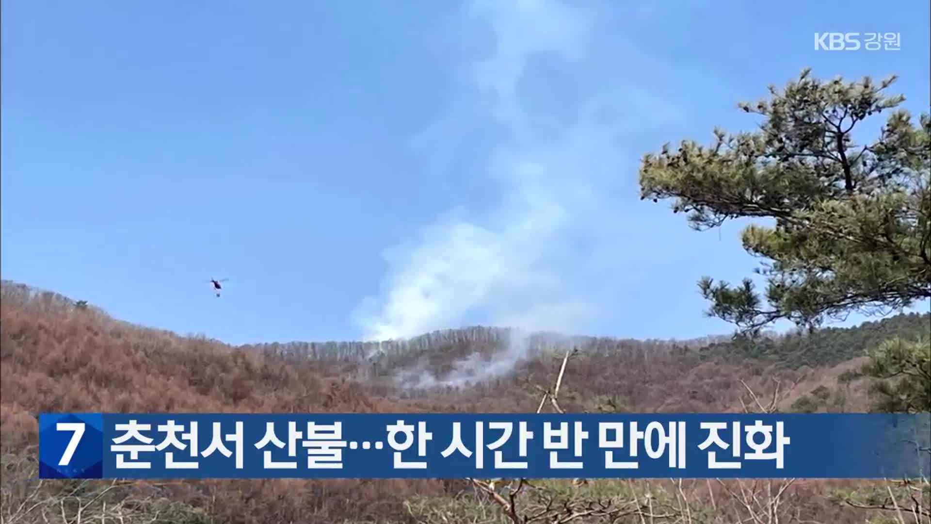 춘천서 산불…한 시간 반 만에 진화