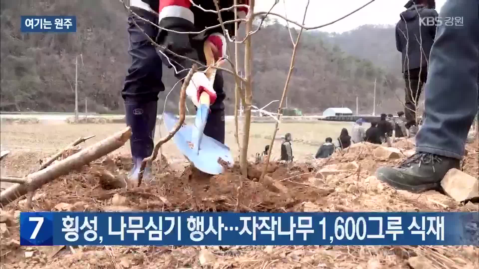 [여기는 원주] 횡성, 나무심기 행사…자작나무 1,600그루 식재 외