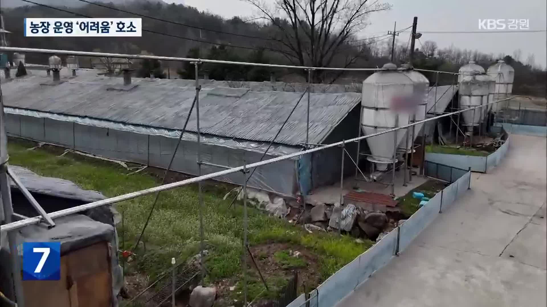 “조례 때문에 악취저감시설도 못해요”…농가 울상