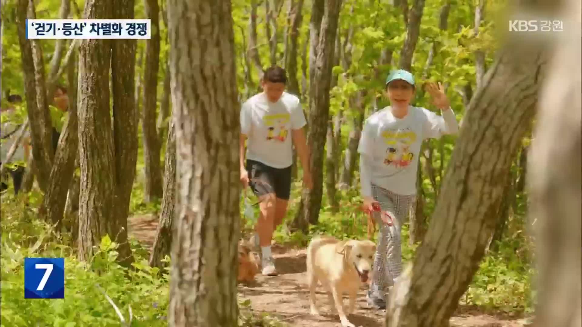 걷기·등산 활성화 추진…활용 전략 경쟁