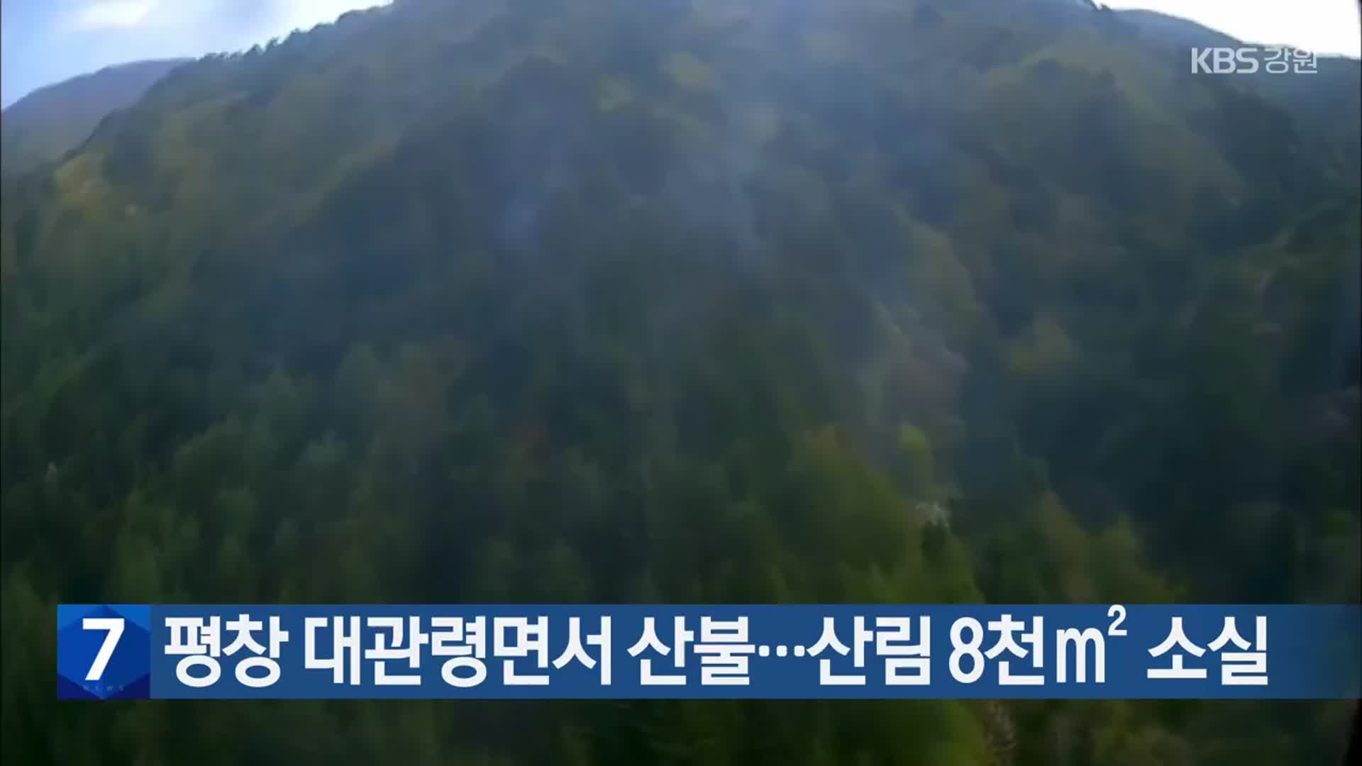 평창 대관령면서 산불…산림 8천㎡ 소실