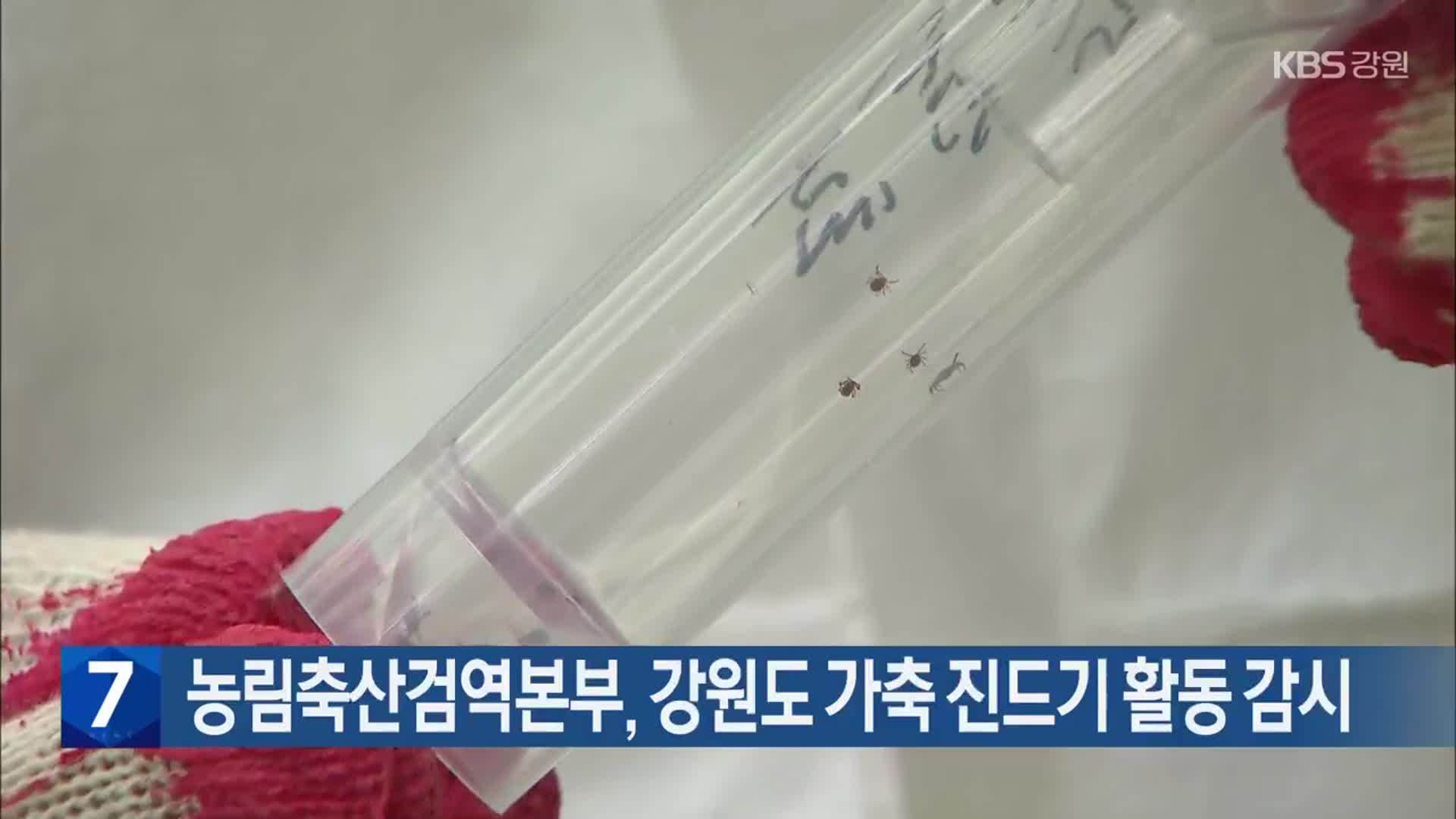 농림축산검역본부, 강원도 가축 진드기 활동 감시