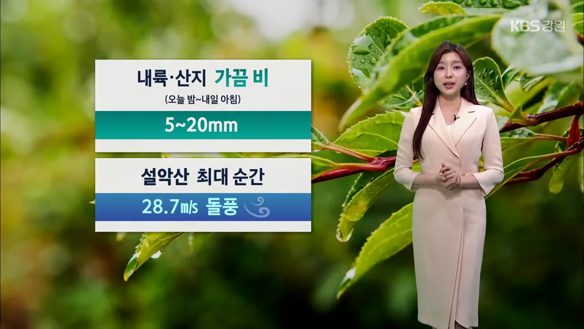 [날씨] 강원 내일 아침까지 가끔 비, 기온 크게 올라…강풍 주의