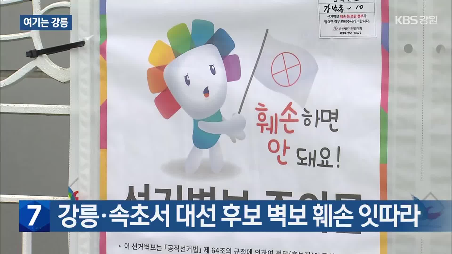 [여기는 강릉] 강릉·속초서 대선 후보 벽보 훼손 잇따라 외