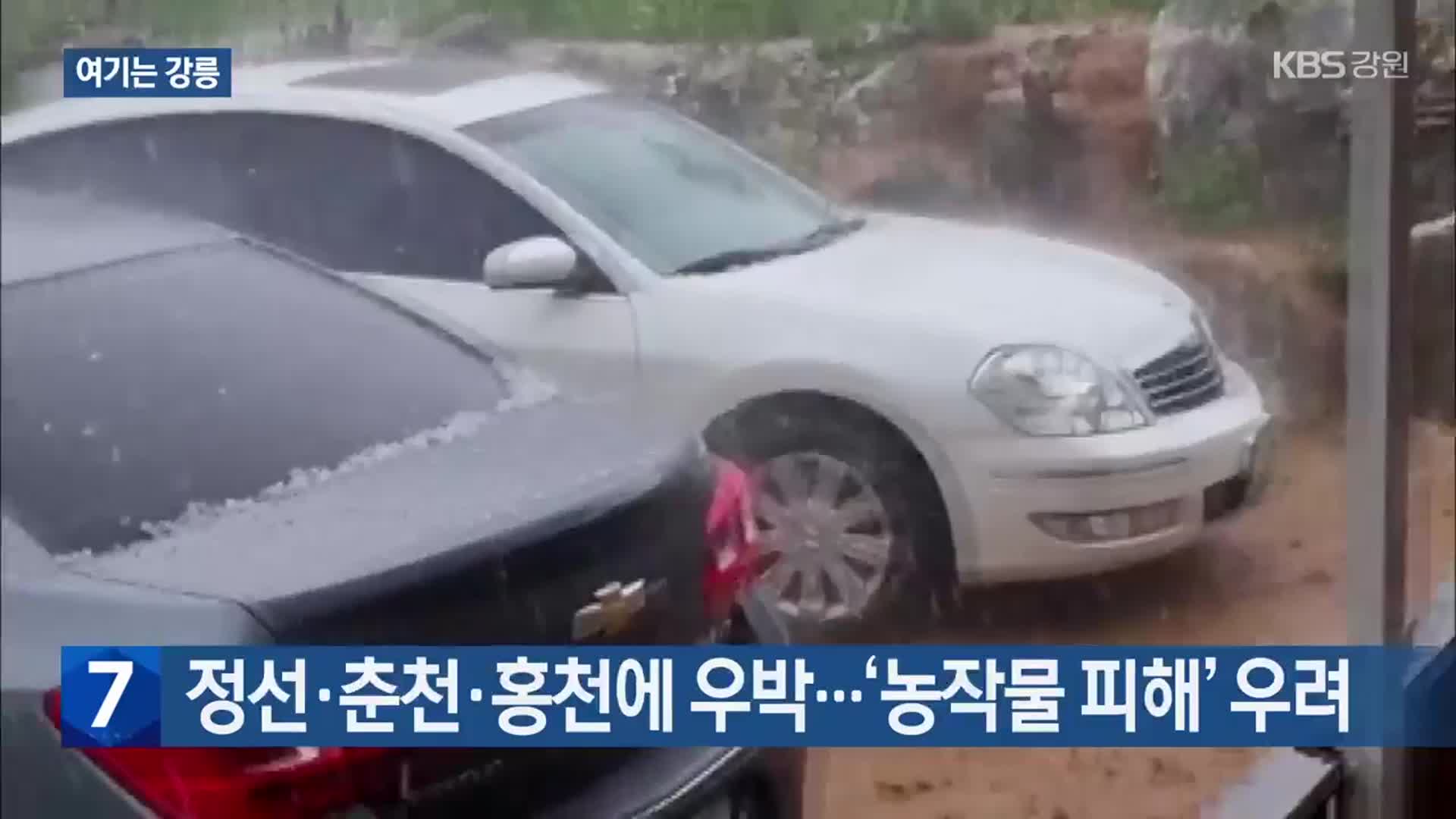 [여기는 강릉] 정선·춘천·홍천에 우박…‘농작물 피해’ 우려 외