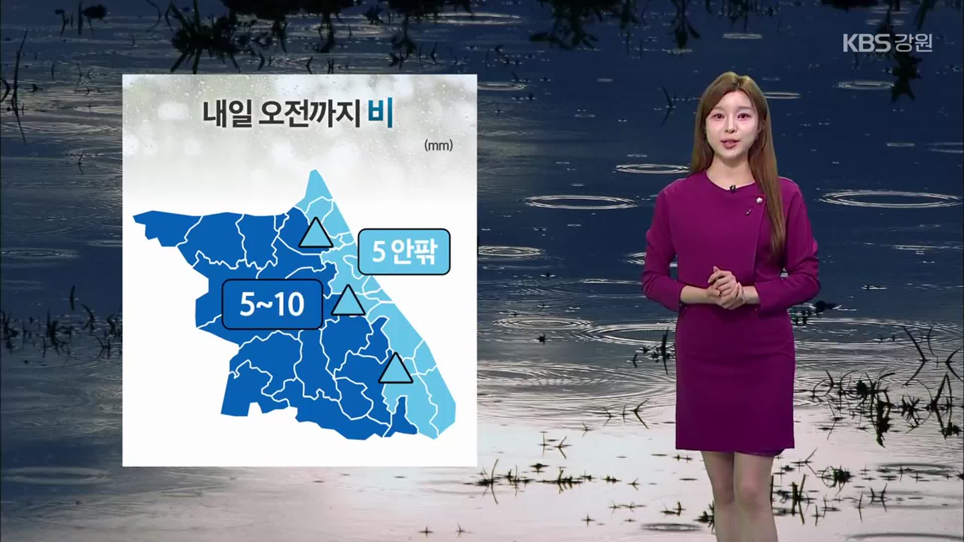 [날씨] 강원 내일 오전까지 비…산지 짙은 안개 유의