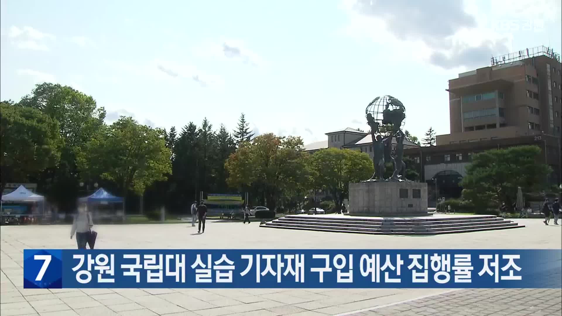 강원 국립대 실습 기자재 구입 예산 집행률 저조