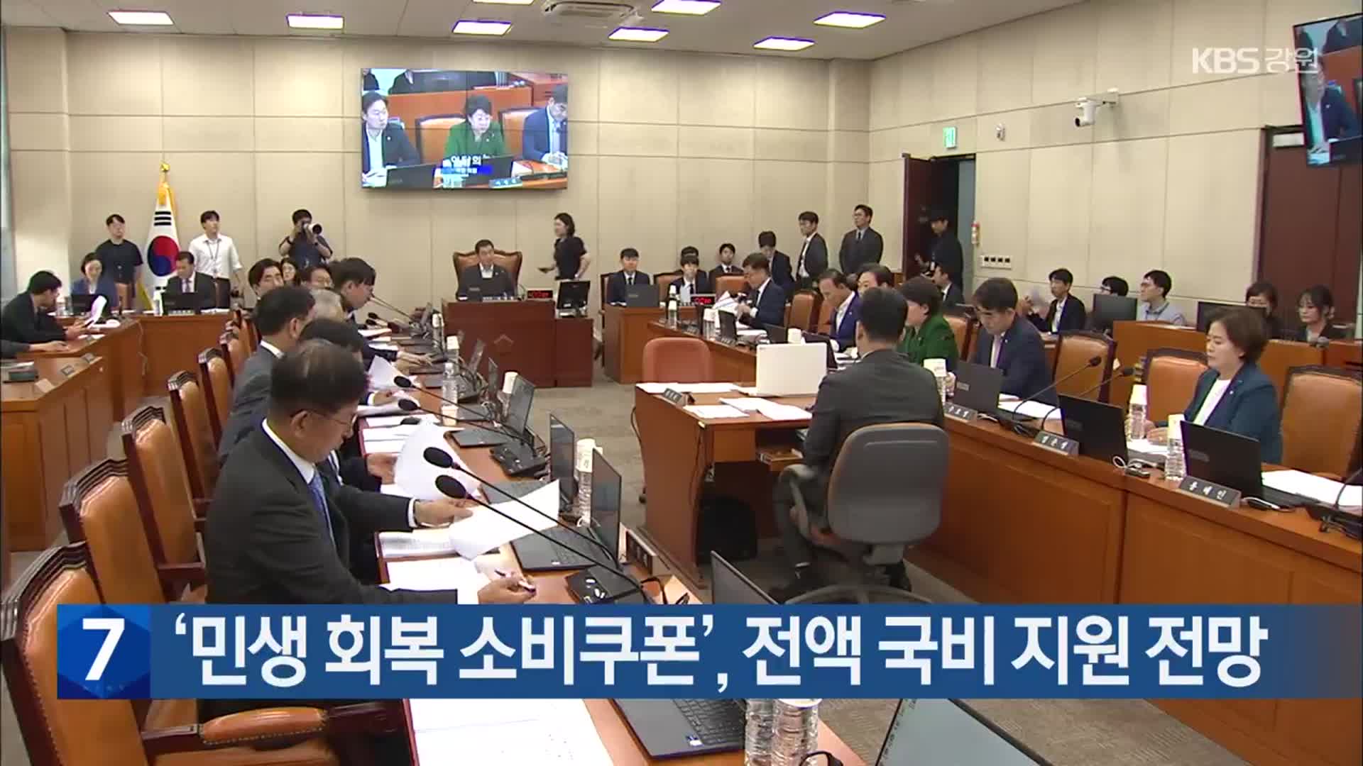 ‘민생 회복 소비쿠폰’, 전액 국비 지원 전망