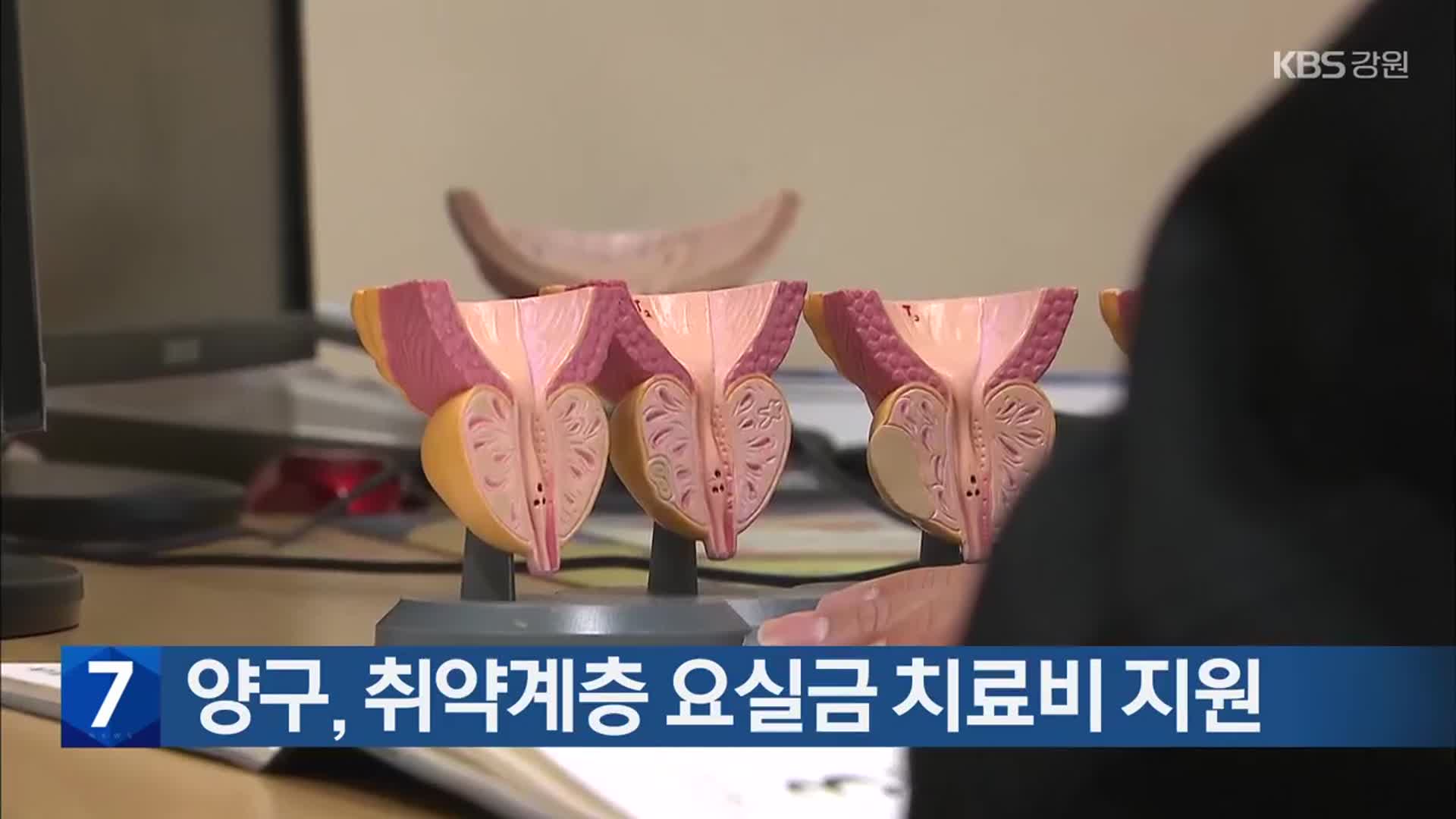 양구, 취약계층 요실금 치료비 지원