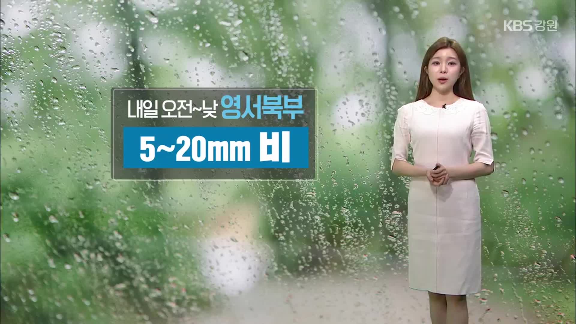 [날씨] 강원 곳곳 폭염특보 발효…영서북부, 내일 오전~낮 비 소식