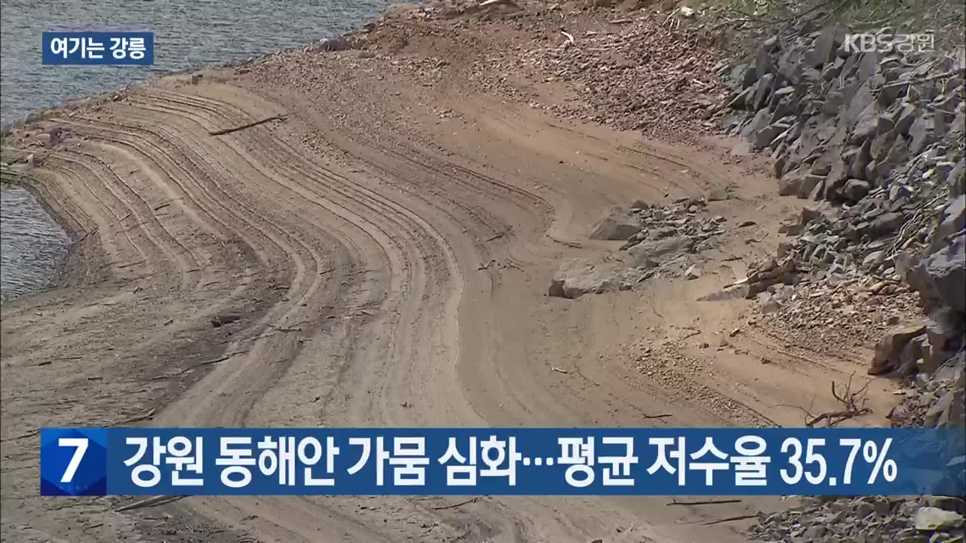 [여기는 강릉] 강원 동해안 가뭄 심화…평균 저수율 35.7% 외