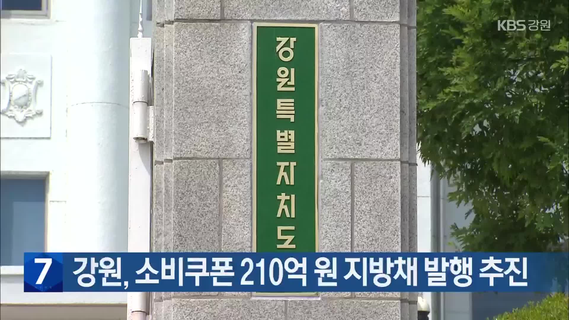 강원, 소비쿠폰 210억 원 지방채 발행 추진