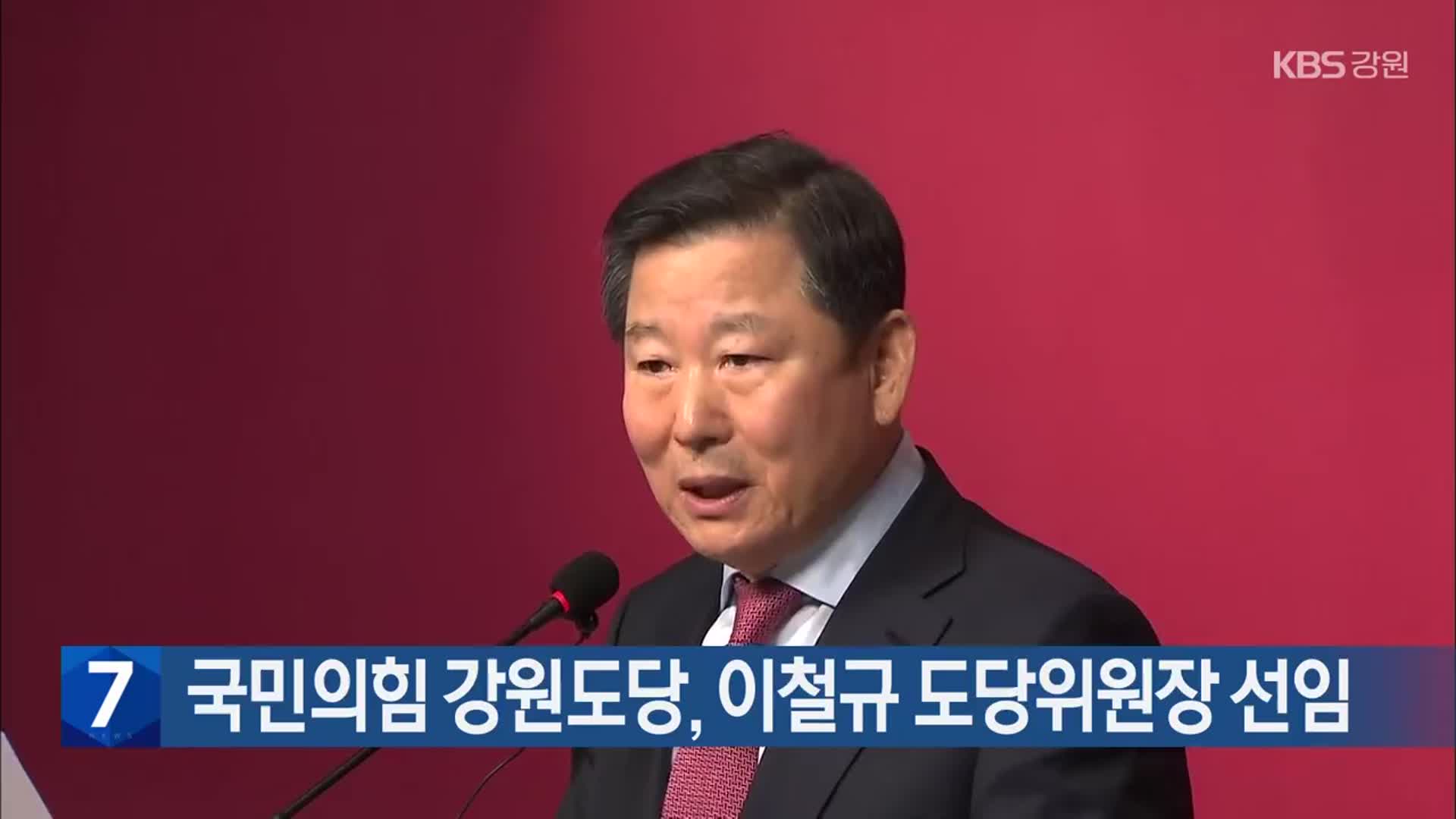 국민의힘 강원도당, 이철규 도당위원장 선임