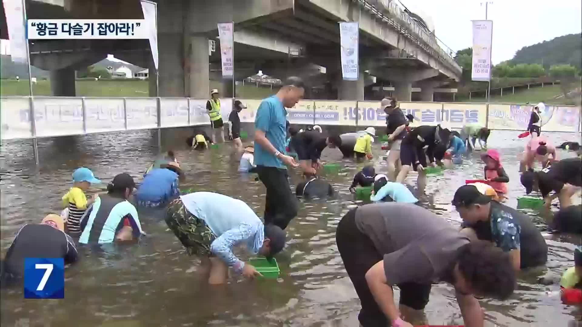 “황금 다슬기 잡아라”…철원 화강 관광객 북적