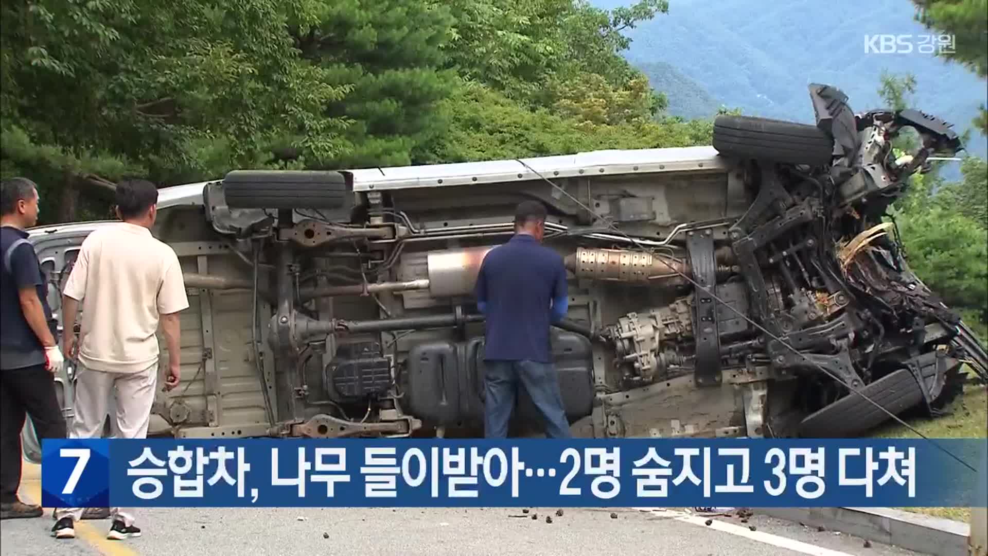 승합차, 나무 들이받아…2명 숨지고 3명 다쳐