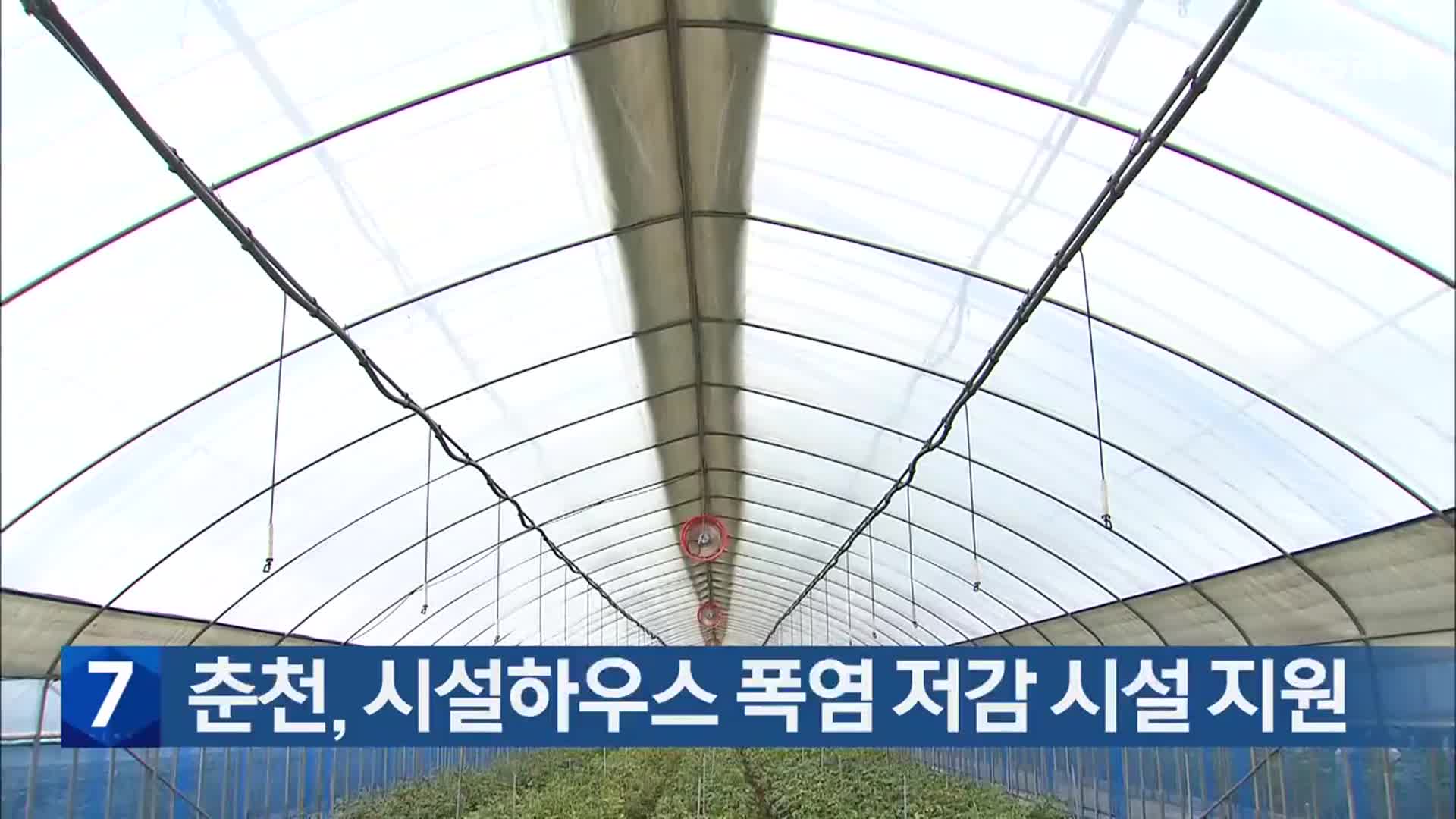 춘천, 시설하우스 폭염 저감 시설 지원