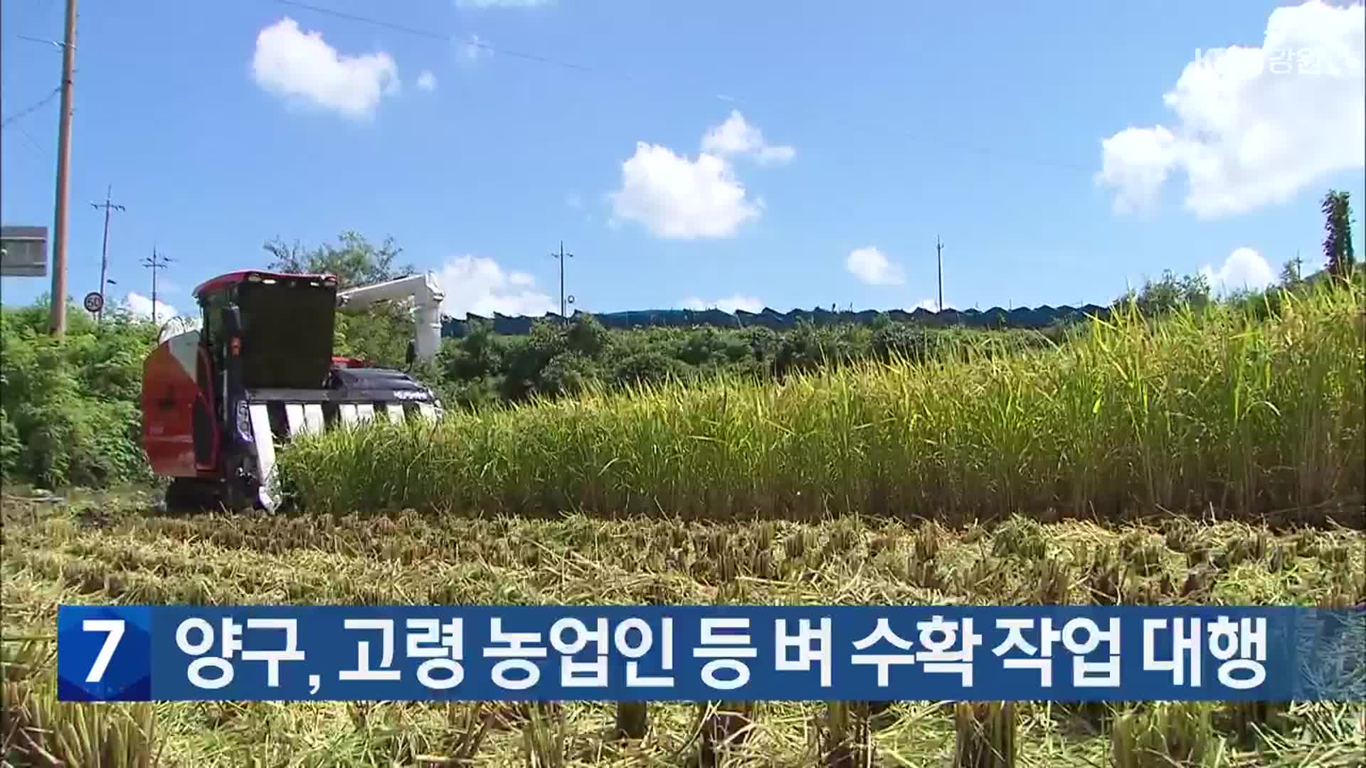 양구, 고령 농업인 등 벼 수확 작업 대행