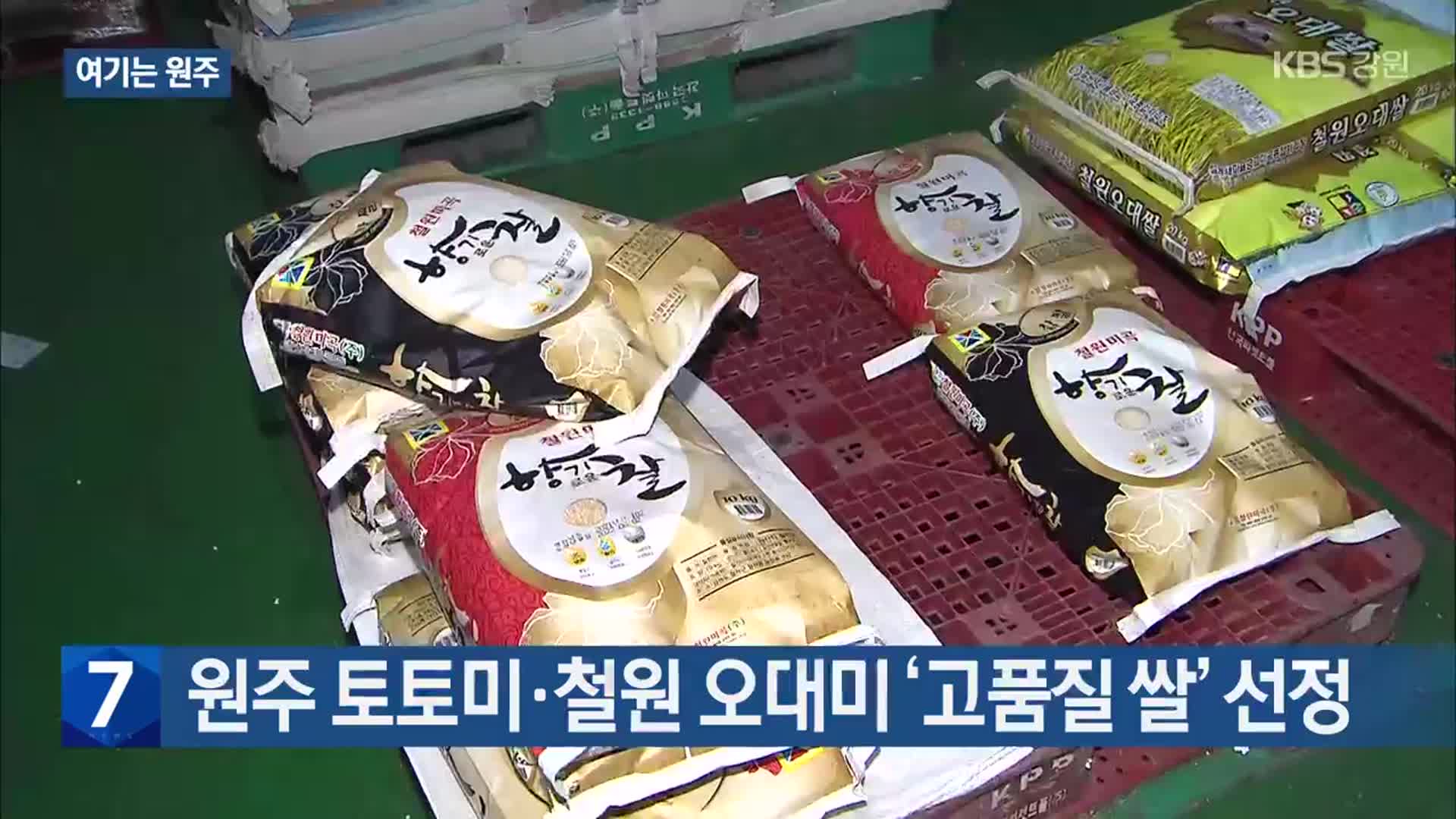 [여기는 원주] 원주 토토미·철원 오대미 ‘고품질 쌀’ 선정 외
