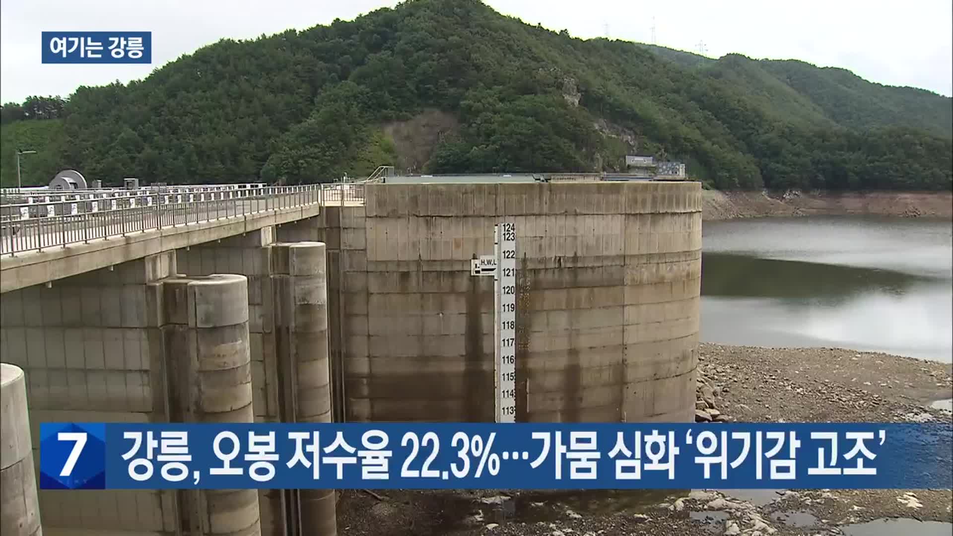 [여기는 강릉] 강릉, 오봉 저수율 22.3%…가뭄 심화 ‘위기감 고조’ 외