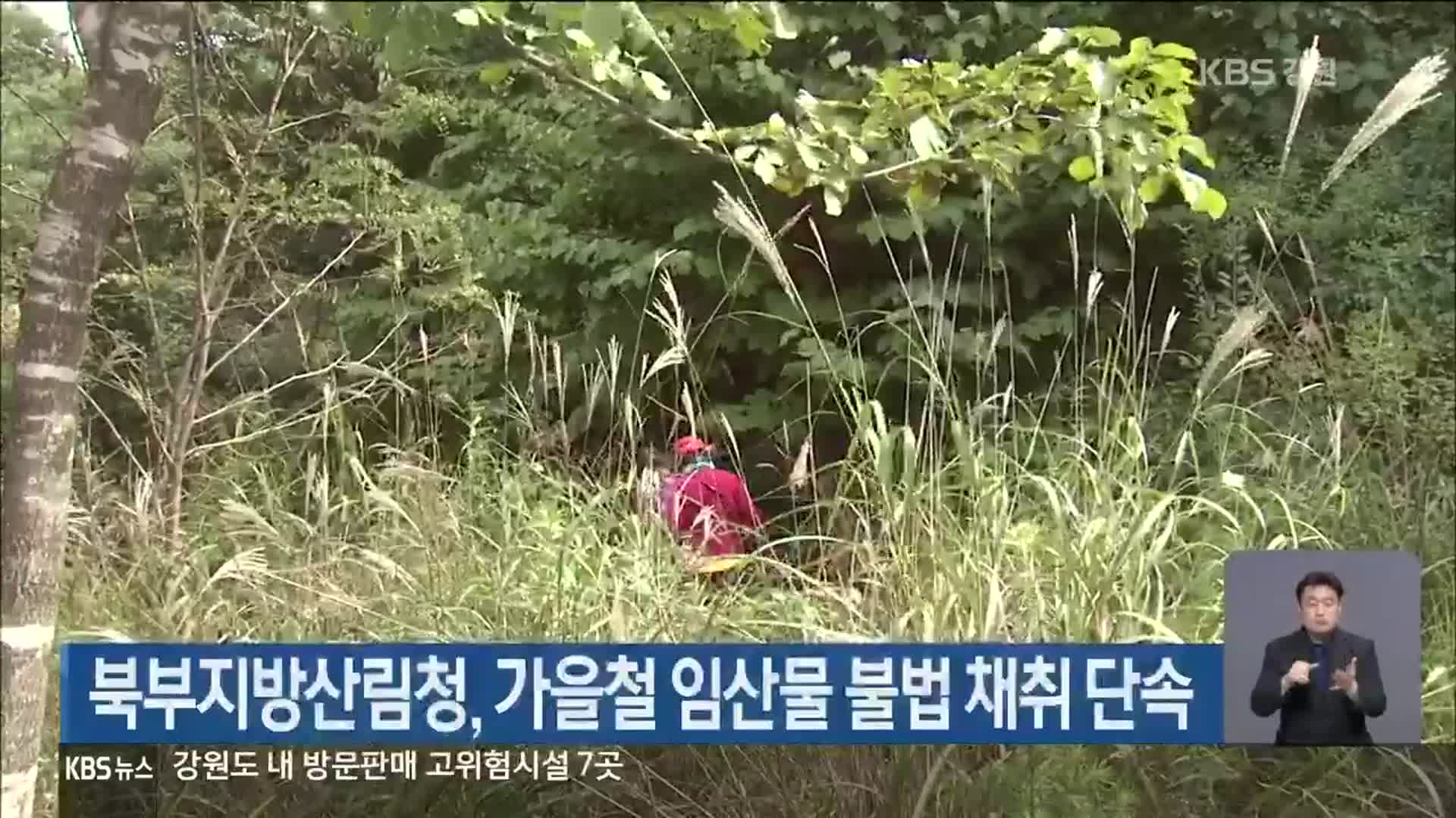 북부지방산림청, 가을철 임산물 불법 채취 단속