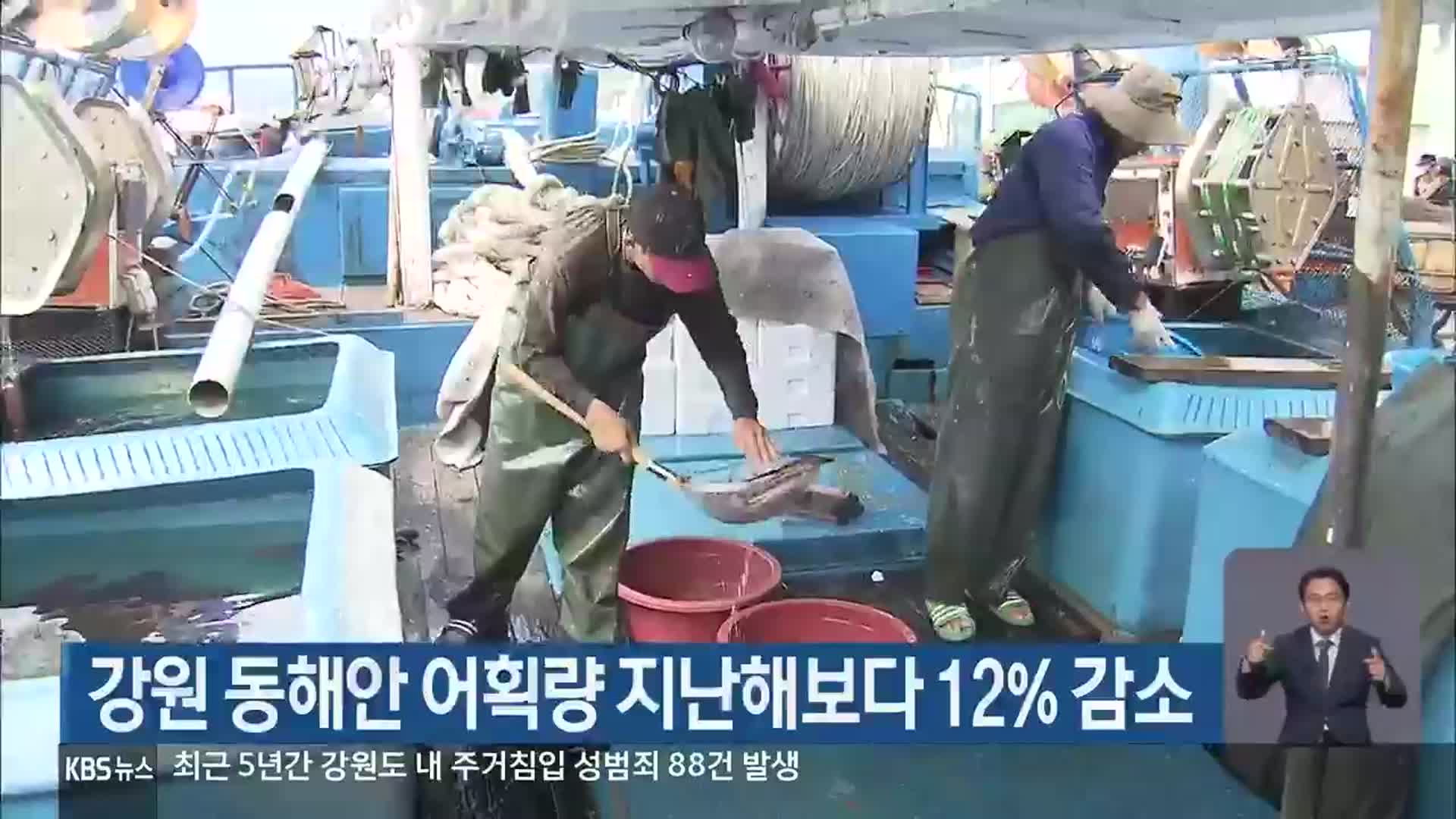 강원 동해안 어획량 지난해보다 12% 감소