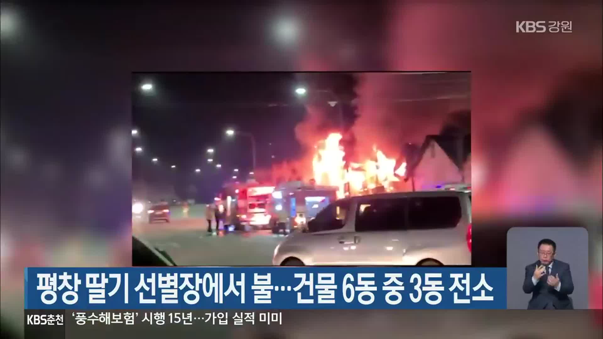 평창 딸기 선별장에서 불…건물 6동 중 3동 전소