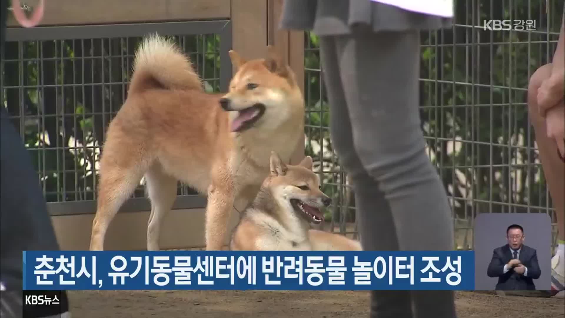 춘천시, 유기동물센터에 반려동물 놀이터 조성