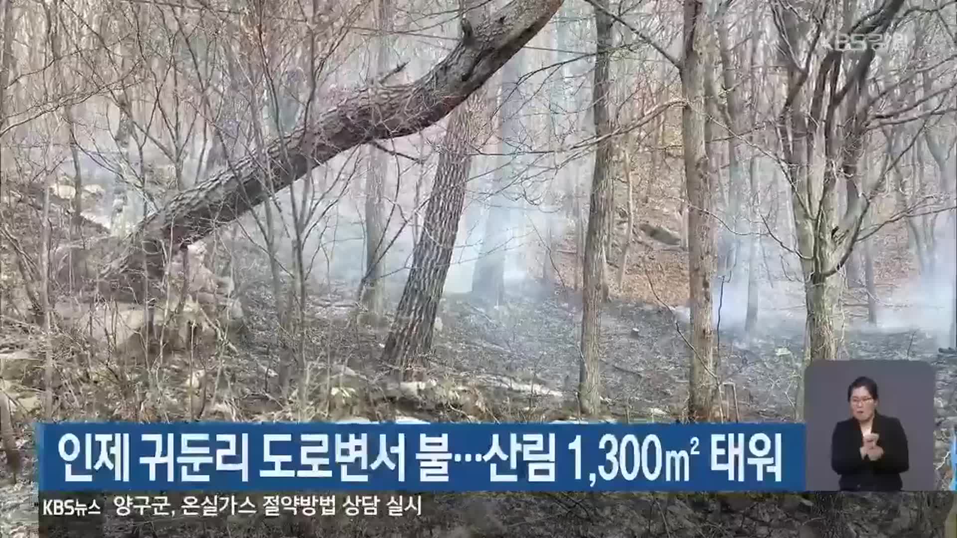 인제 귀둔리 도로변서 불…산림 1,300㎡ 태워