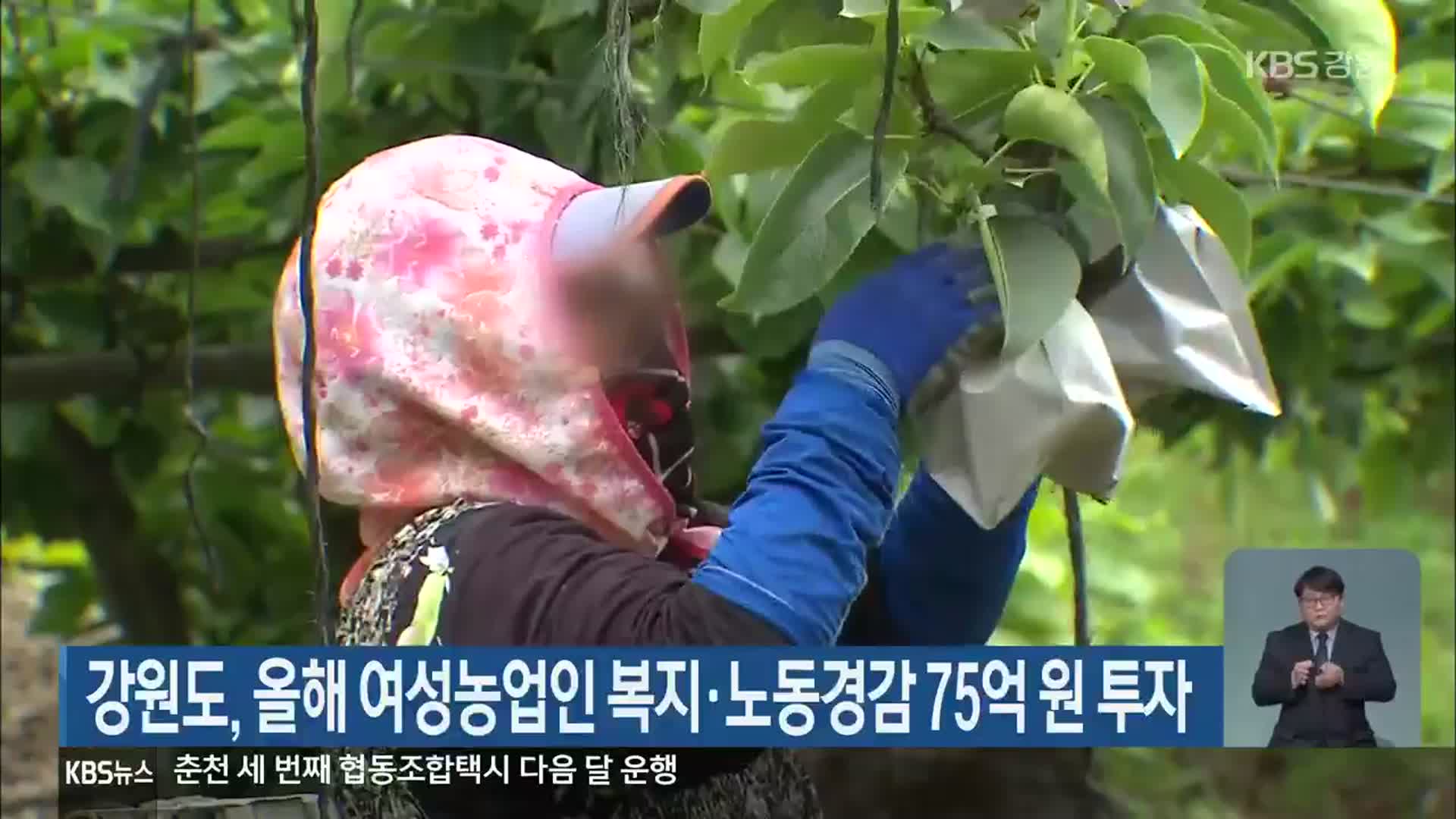 강원도, 올해 여성농업인 복지·노동경감 75억 원 투자