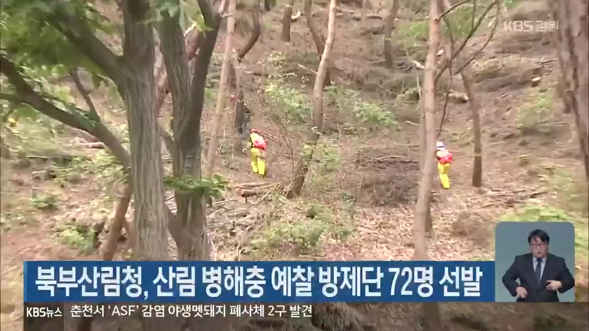 북부산림청, 산림 병해충 예찰 방제단 72명 선발