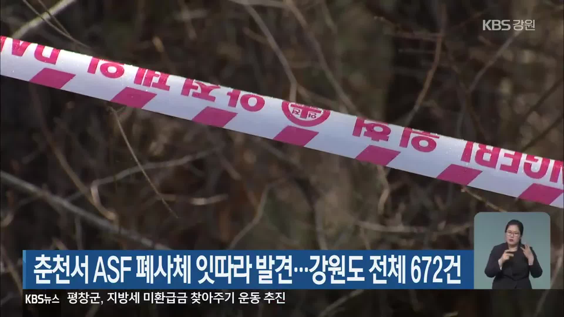 춘천서 ASF 폐사체 잇따라 발견…강원도 전체 672건