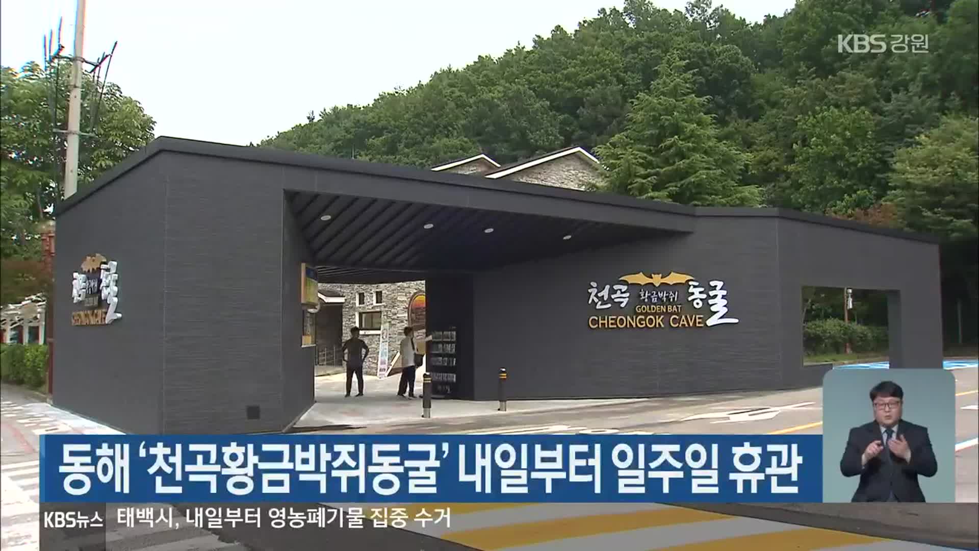 동해 ‘천곡황금박쥐동굴’ 내일부터 일주일 휴관