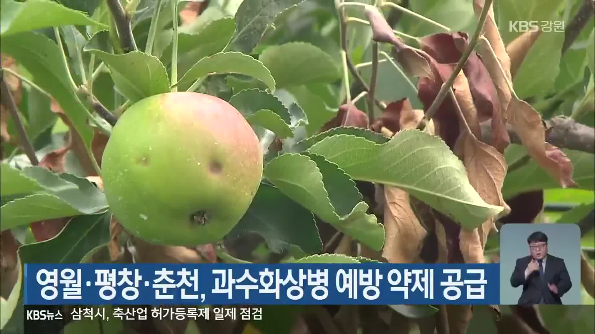 영월·평창·춘천, 과수화상병 예방 약제 공급
