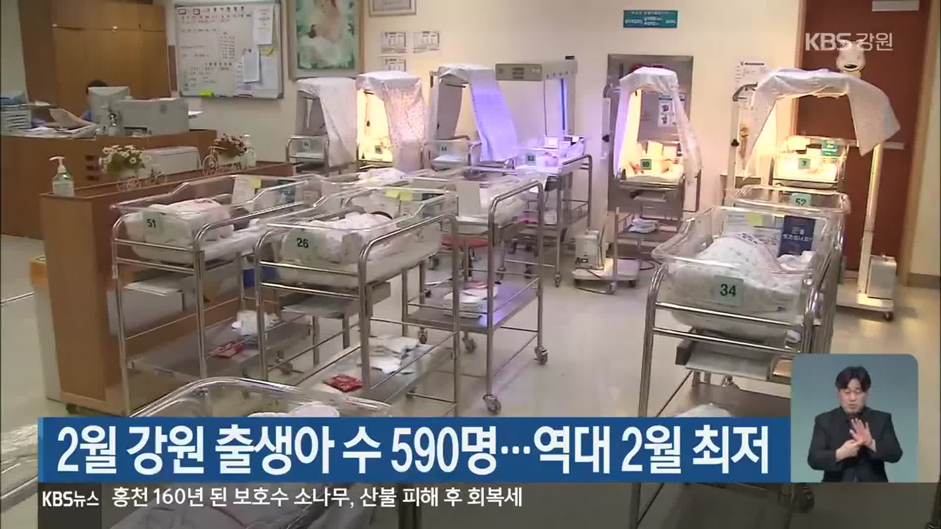 2월 강원 출생아 수 590명…역대 2월 최저