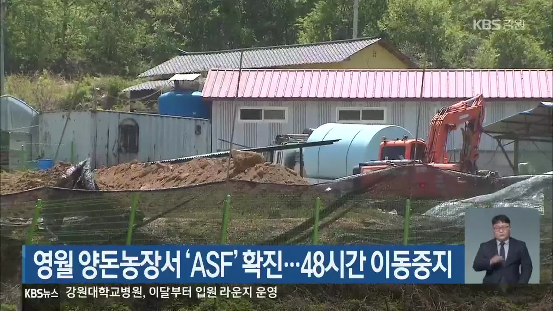 영월 양돈농장서 ‘ASF’ 확진…48시간 이동중지
