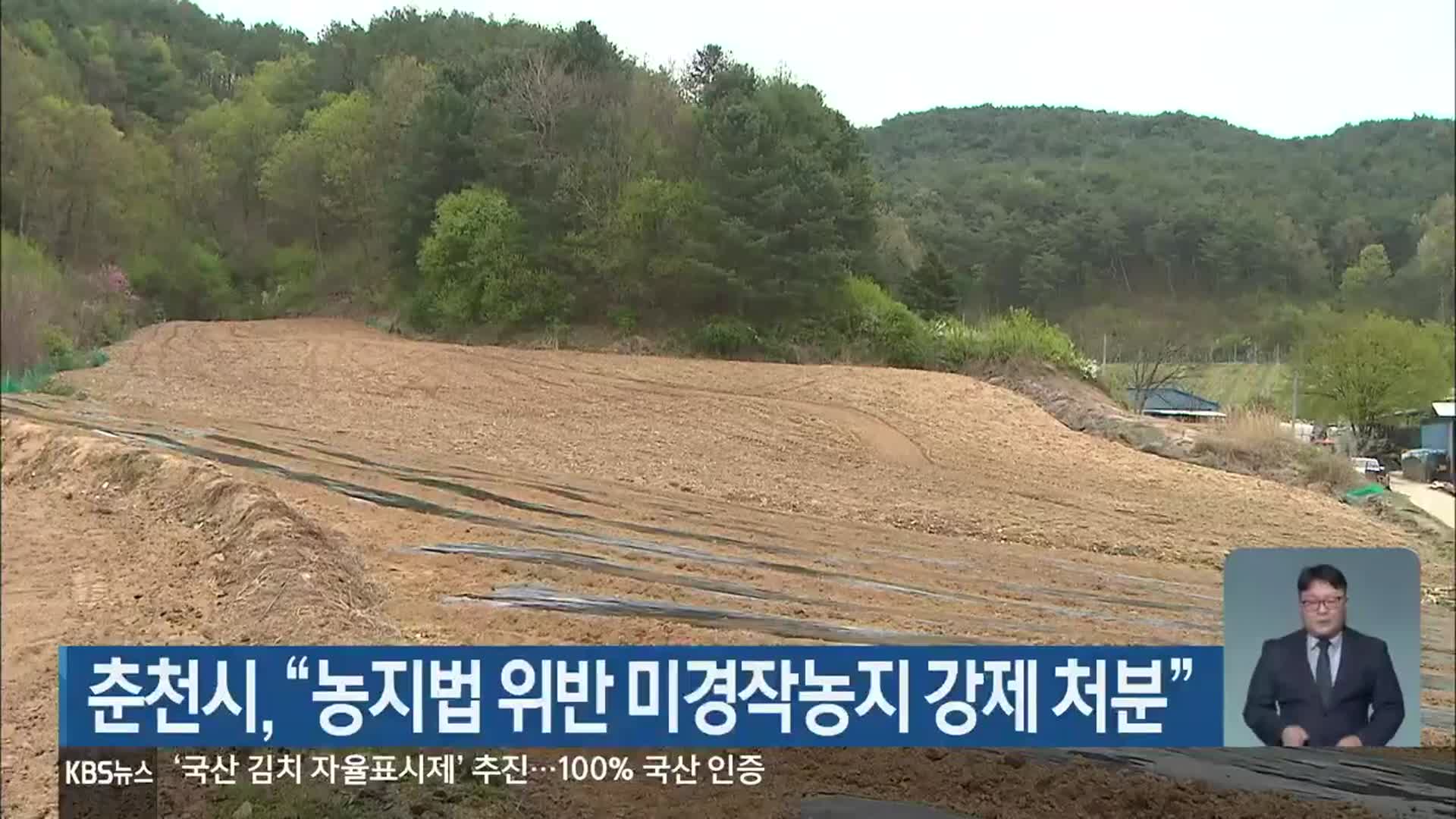 춘천시 “농지법 위반 미경작농지 강제 처분”