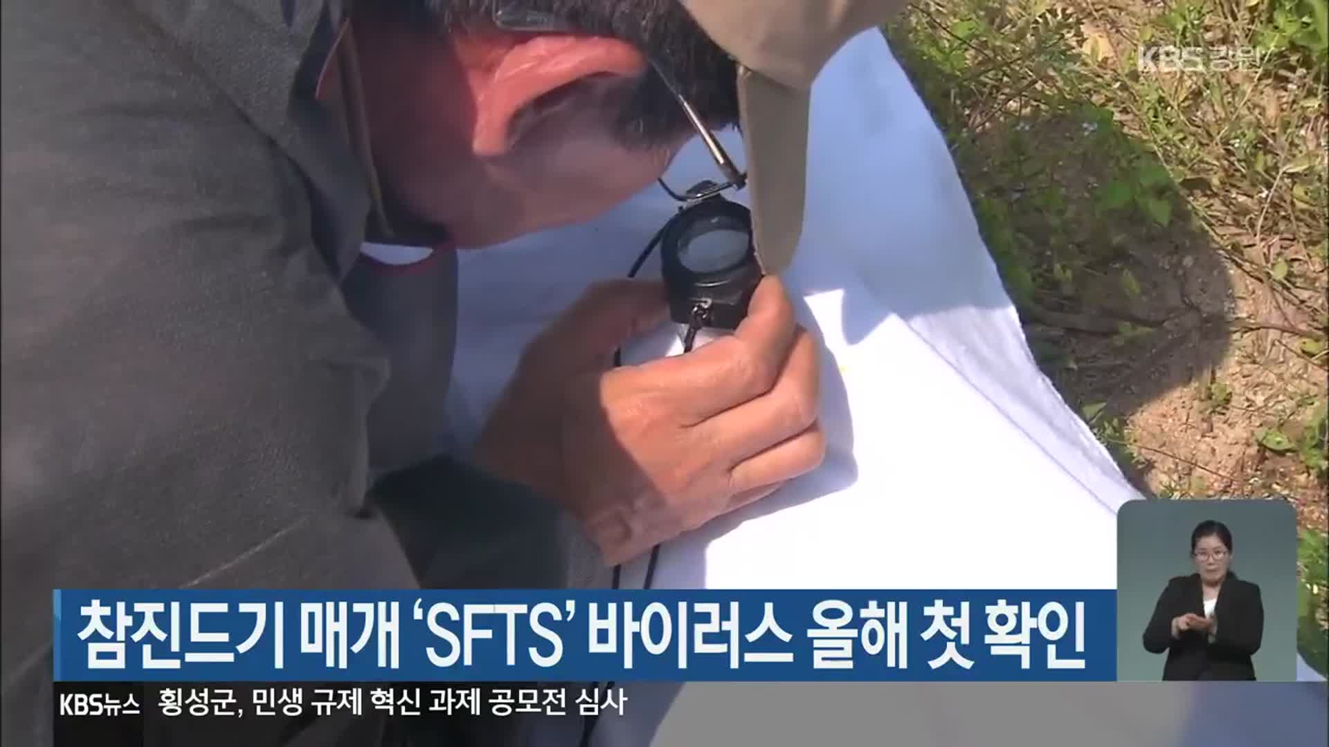 참진드기 매개 ‘SFTS’ 바이러스 올해 첫 확인