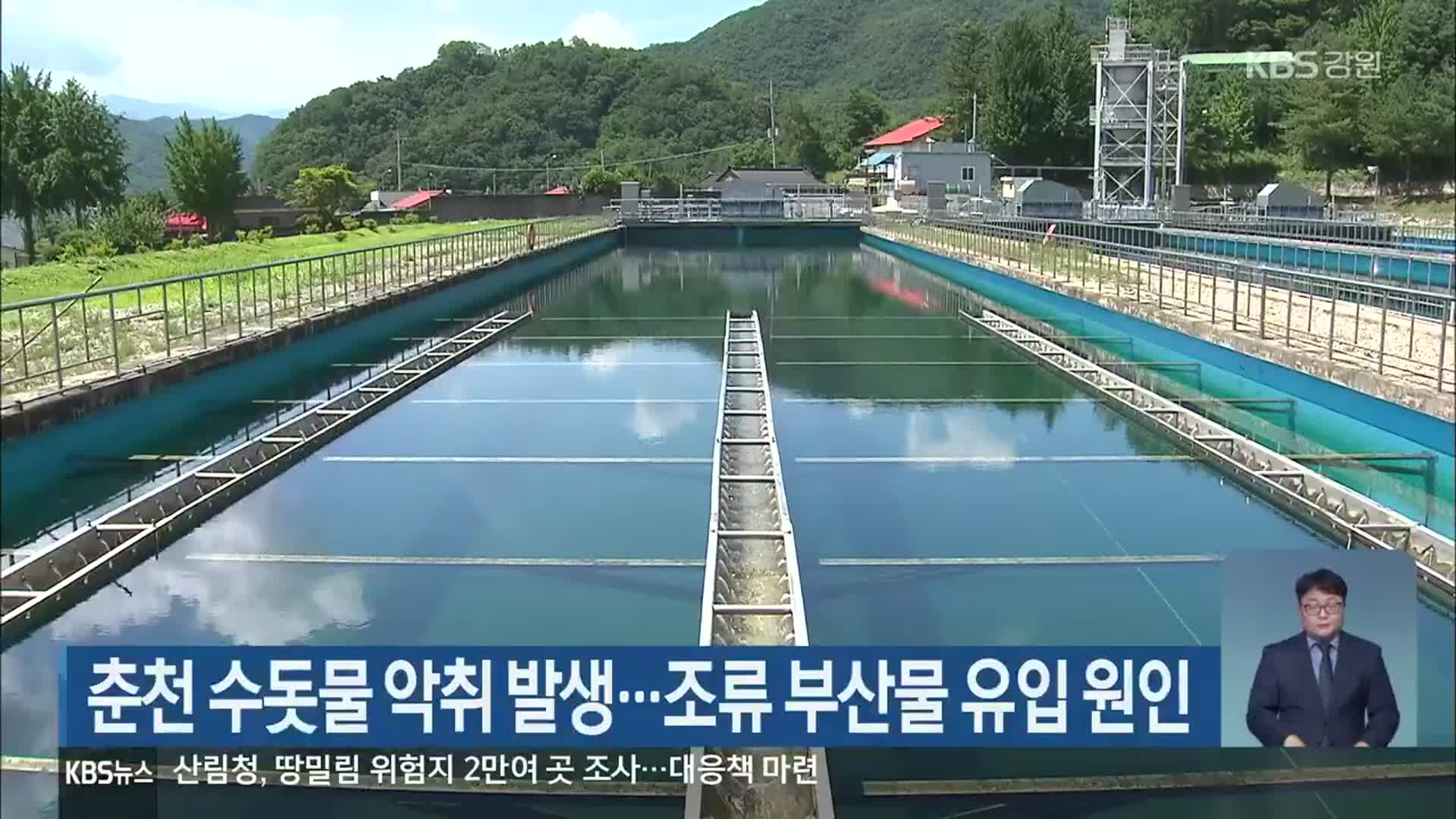 춘천 수돗물 악취 발생…조류 부산물 유입 원인