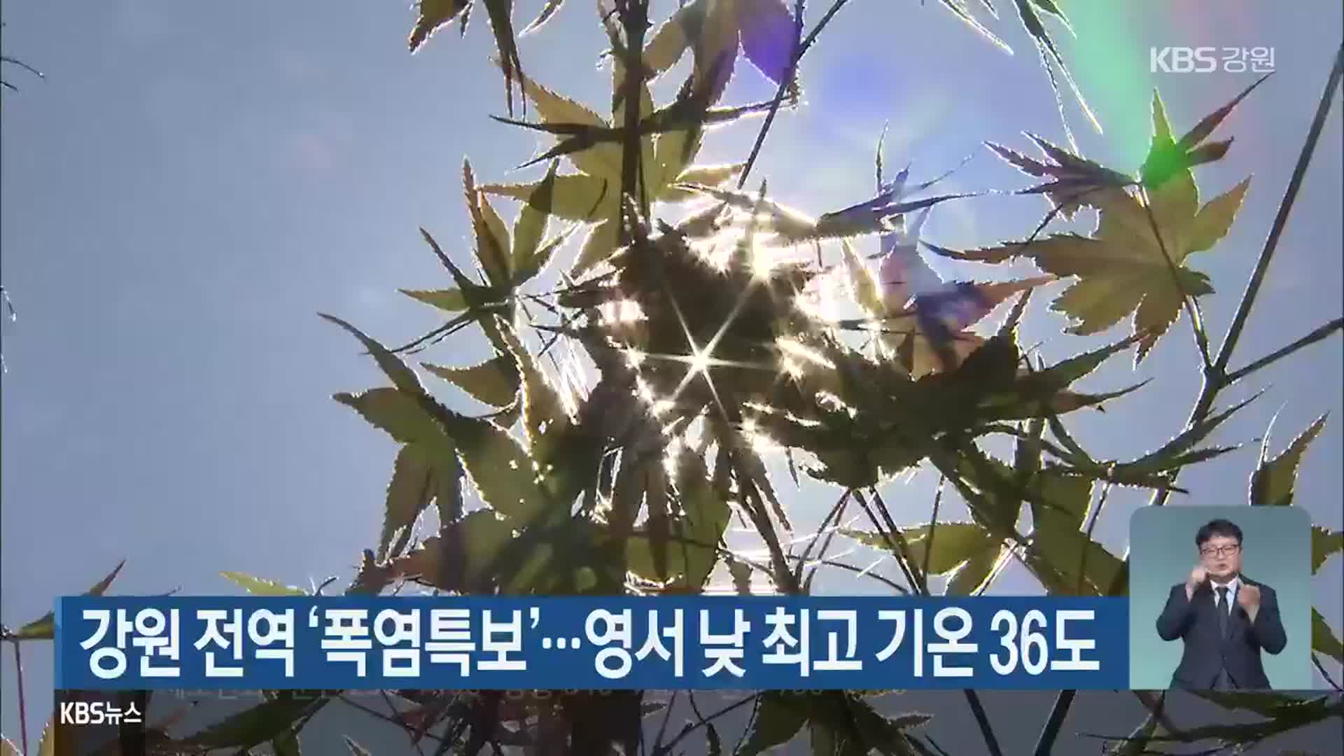 강원 전역 ‘폭염특보’…영서 낮 최고 기온 36도