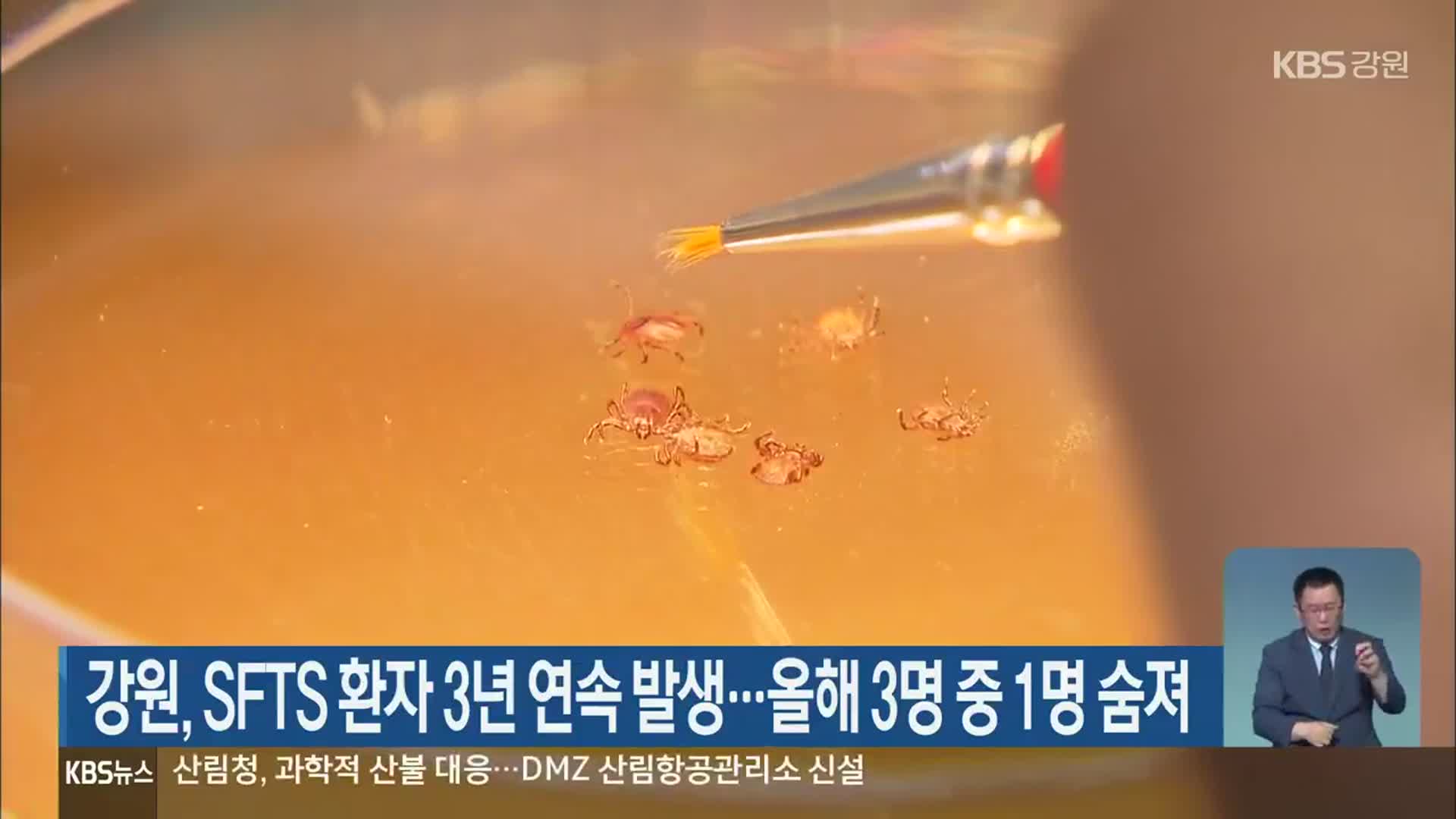 강원, SFTS 환자 3년 연속 발생…올해 3명 중 1명 숨져