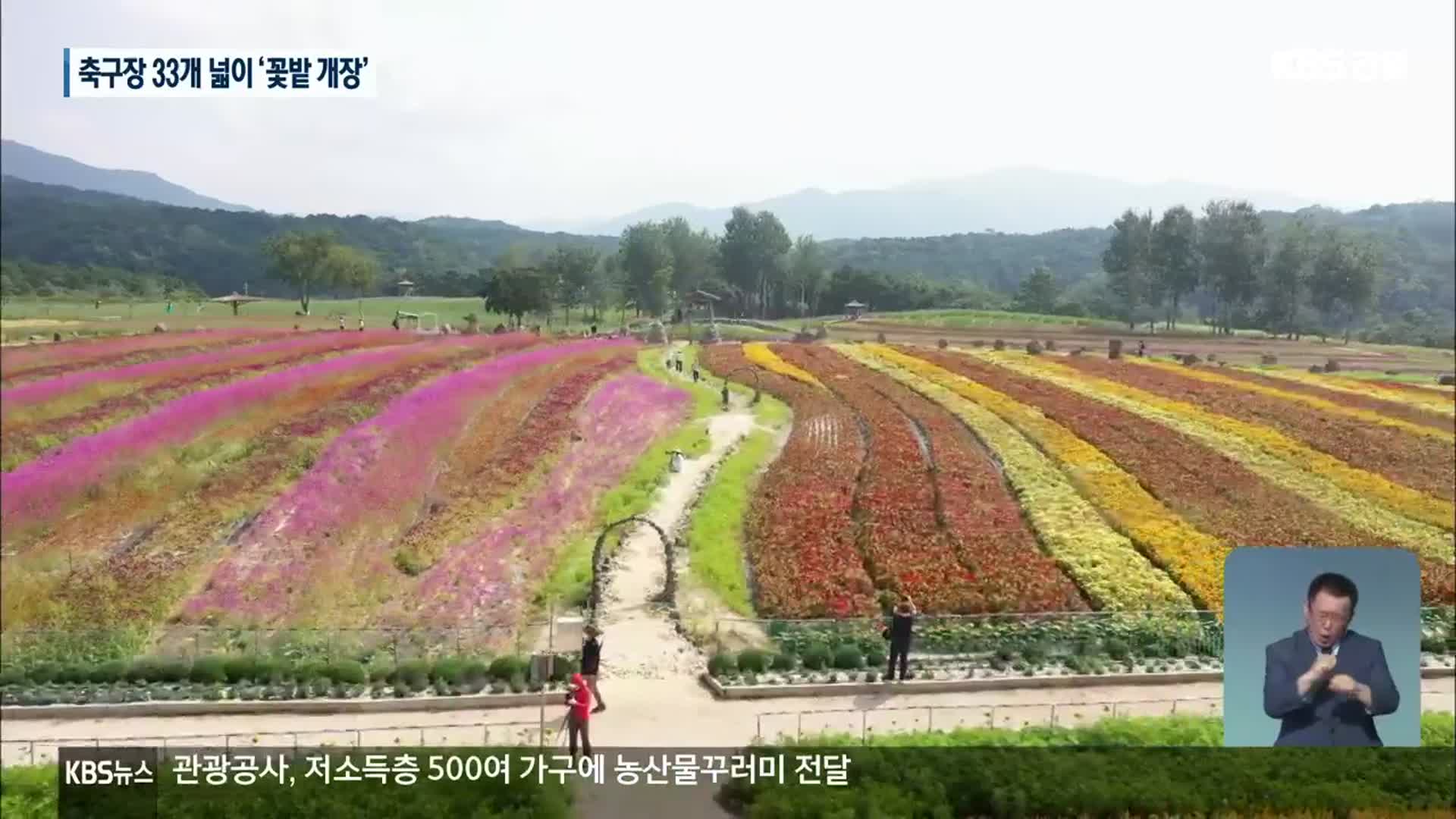 “가을을 느껴보세요”…축구장 33개 넓이 꽃밭 개장