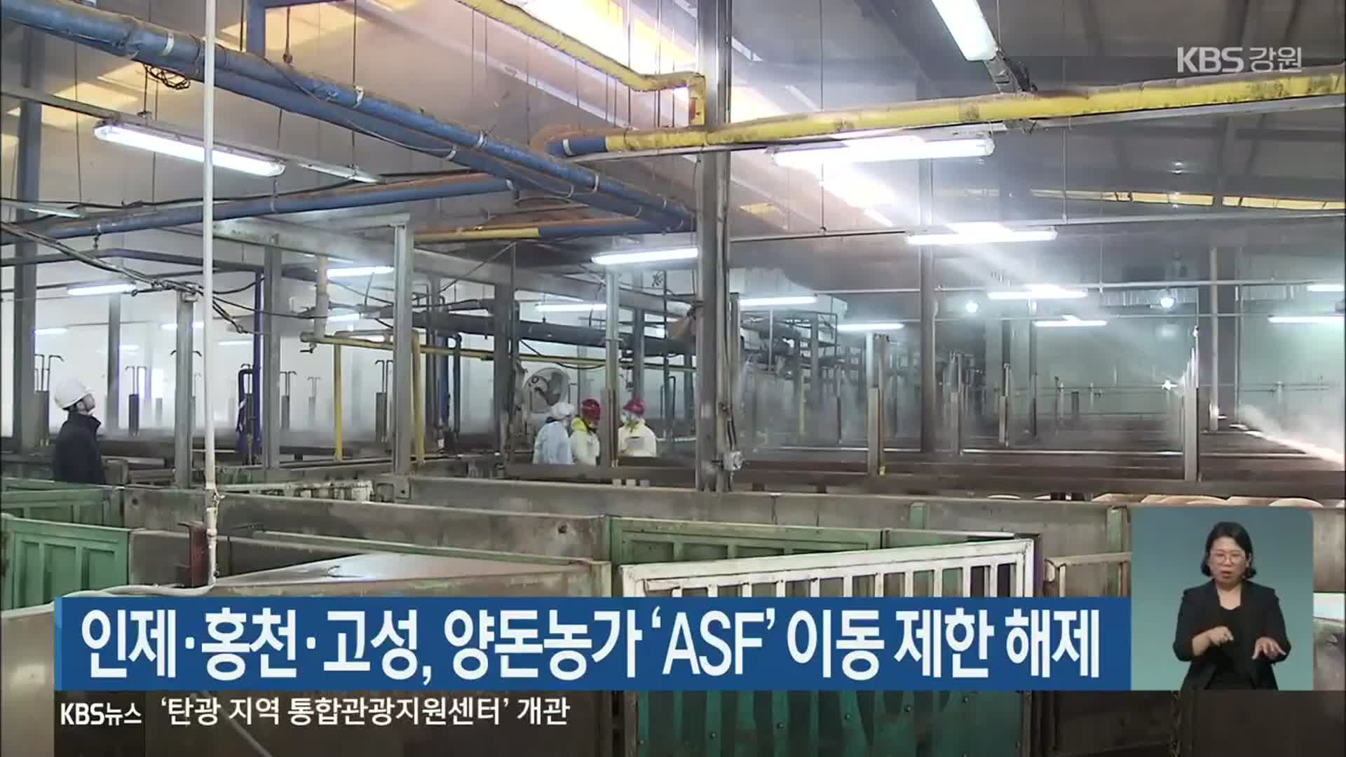 인제·홍천·고성, 양돈농가 ‘ASF’ 이동 제한 해제