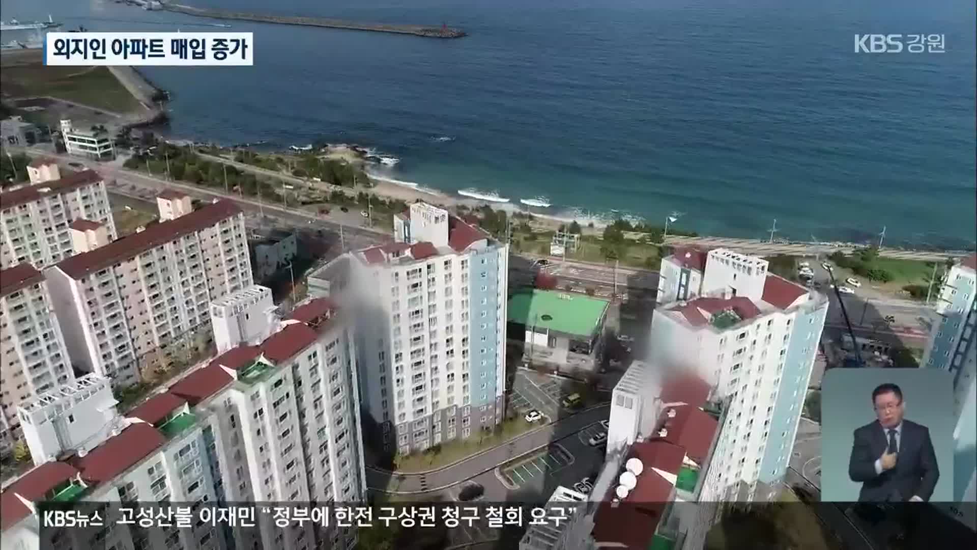 동해안 외지인 아파트 매입 증가…실수요자 피해 우려