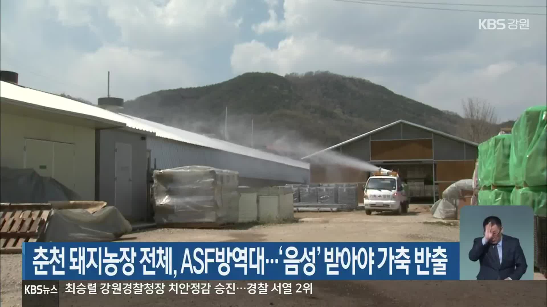 춘천 돼지농장 전체, ASF방역대…‘음성’ 받아야 가축 반출