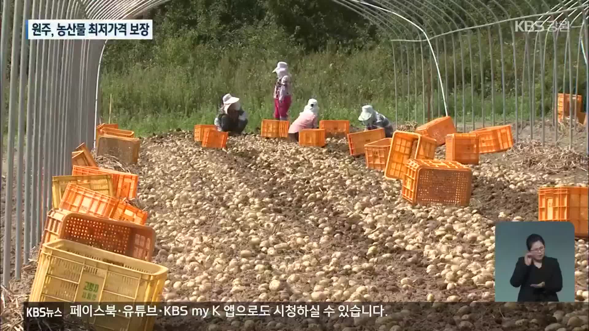 원주시, 농산물 최저가격 보장 추진…시 단위 첫 사례